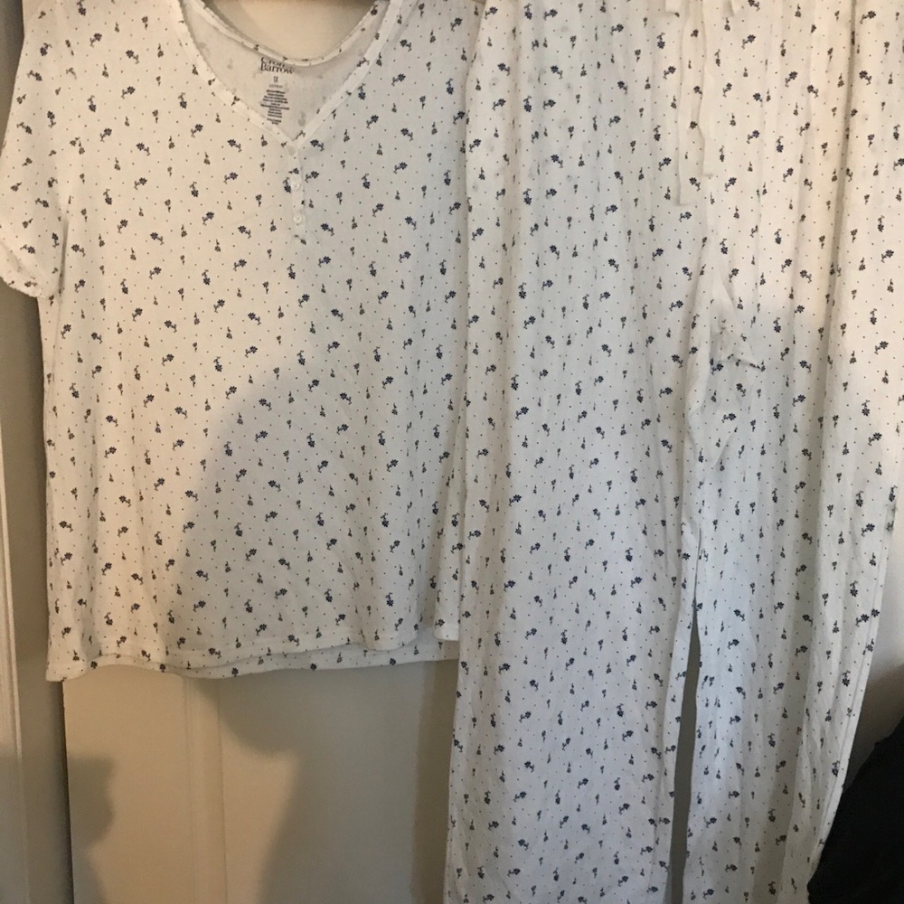 NWT Sz 3x white/blue flowers ptst Croft & barrow pajamas. FINAL SALE